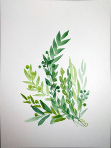 Olive Branches #2