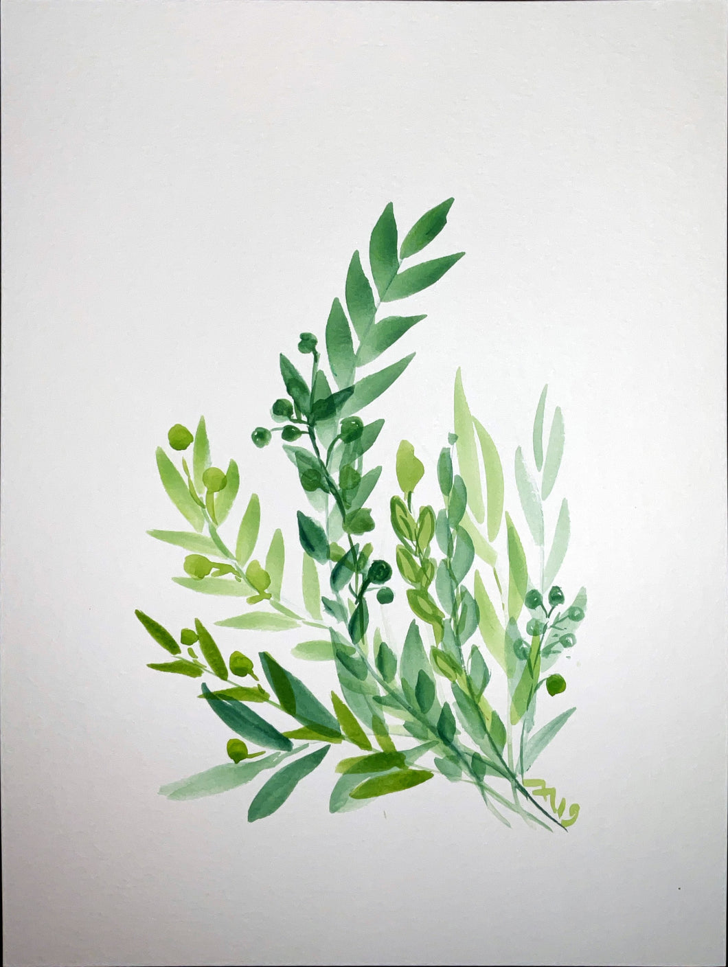 Olive Branches #2