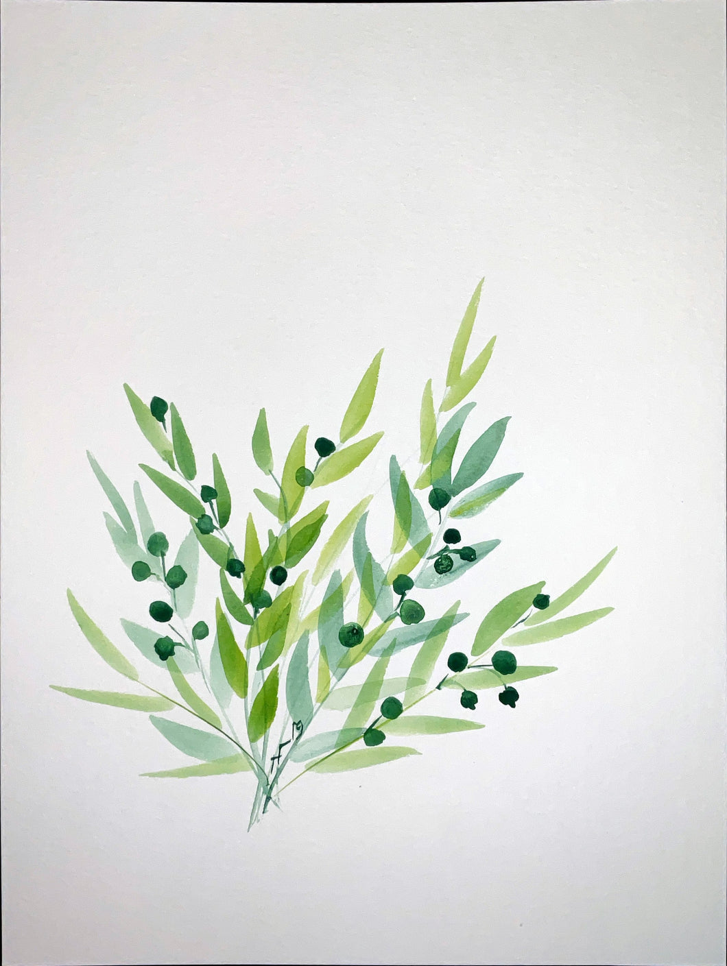 Olive Branches #1